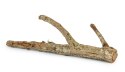Korek gałąź M, 40cm