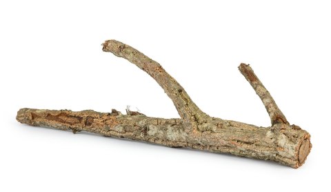 KOREK GAŁĄŹ 30 cm