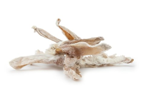 Królik uszy z futrem 100% naturalne, 80g