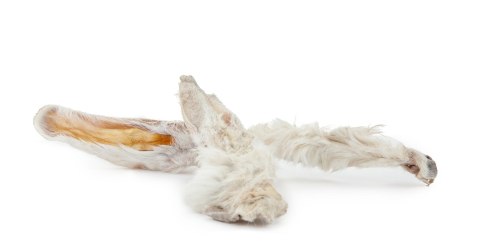 Królik uszy z futrem 100% naturalne, 80g