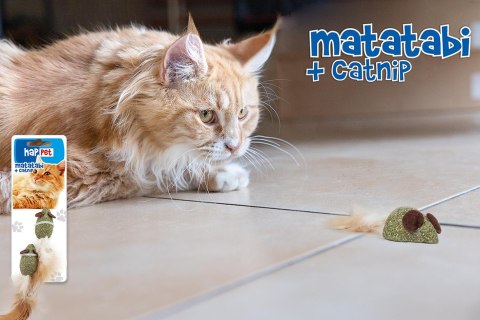 Matatabi & Kocimiętka myszki z piórkiem Matatabi & Kocimiętka myszki z piórkiem