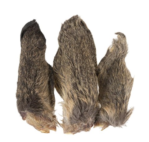 Sarna uszy z futrem 3szt.