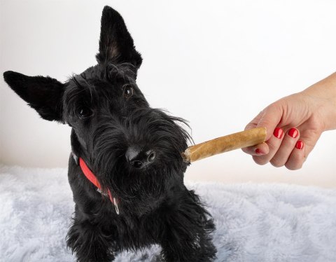 Wołowa suszona skóra 100%, 200g