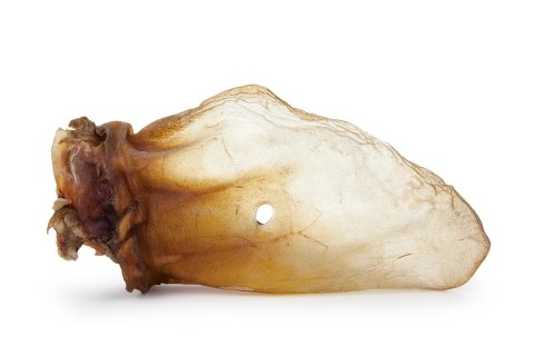 Wołowe ucho naturalne 100% 1szt.