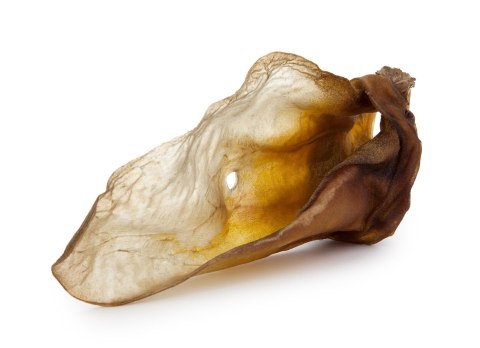 Wołowe ucho naturalne 100% 1szt.