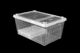 Pojemnik hodowlany BREEDING BOX z platformą 19 cm