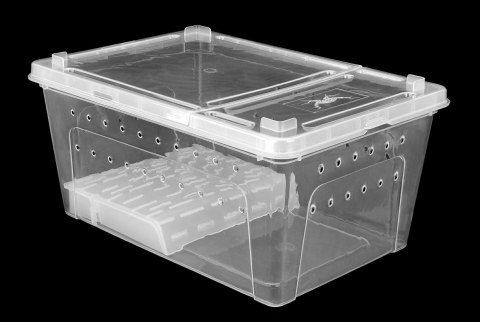 Pojemnik hodowlany BREEDING BOX z platformą 32 cm