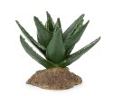 R148 ozdoba terrarium Happet 12 cm