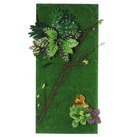 Bello Plant - White Natural Seed - roślina XL do obrazów 3D