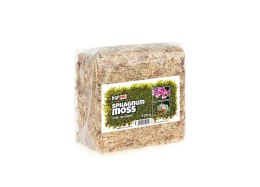 Happet Mech Torfowiec – Sphagnum Moss 100g do terrarium, roślin i inkubacji