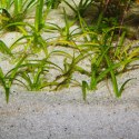 JBL Sansibar River 5kg - podłoże mieszanka