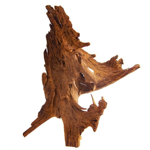 Philippines Classic Driftwood - drzewo mangrowca z wody XL 40cm - 50cm Philippines Classic Driftwood - drzewo mangrowca z wody XL 40cm - 50cm