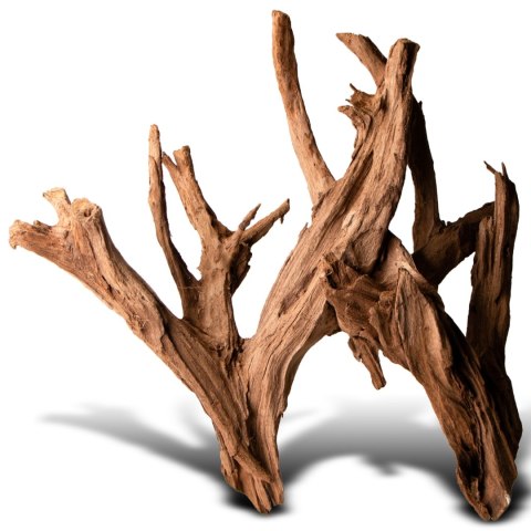 Philippines Classic Driftwood - drzewo mangrowca z wody XL 40cm - 50cm Philippines Classic Driftwood - drzewo mangrowca z wody XL 40cm - 50cm