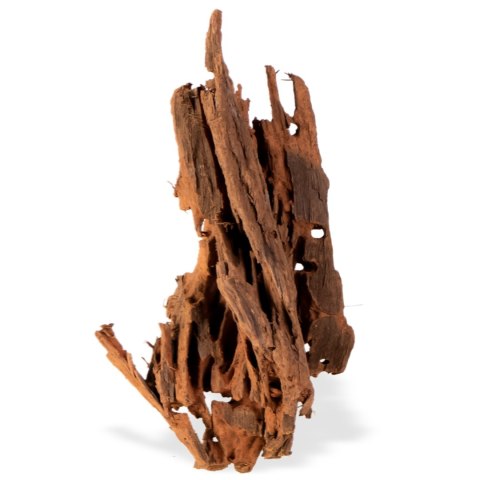 Philippines Classic Driftwood - drzewo mangrowca z wody XL 40cm - 50cm Philippines Classic Driftwood - drzewo mangrowca z wody XL 40cm - 50cm