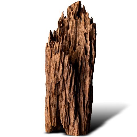 Philippines Classic Driftwood - drzewo mangrowca z wody XL 40cm - 50cm Philippines Classic Driftwood - drzewo mangrowca z wody XL 40cm - 50cm