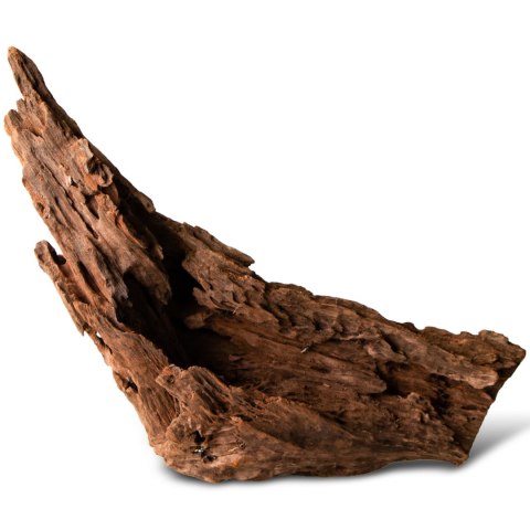 Philippines Classic Driftwood - drzewo mangrowca z wody XL 40cm - 50cm Philippines Classic Driftwood - drzewo mangrowca z wody XL 40cm - 50cm