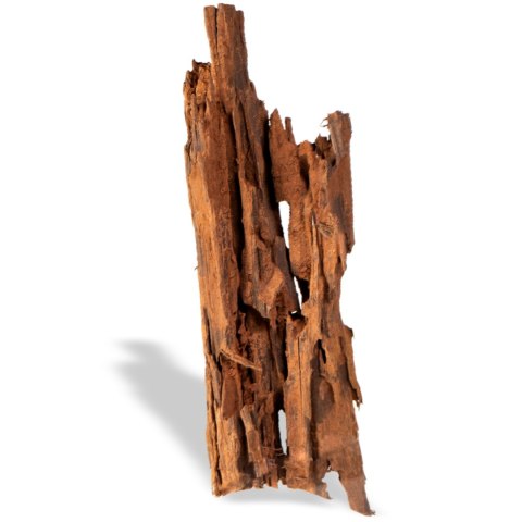 Philippines Classic Driftwood - drzewo mangrowca z wody XL 40cm - 50cm Philippines Classic Driftwood - drzewo mangrowca z wody XL 40cm - 50cm