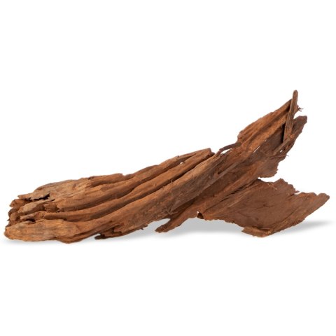 Philippines Classic Driftwood - drzewo mangrowca z wody XL 40cm - 50cm Philippines Classic Driftwood - drzewo mangrowca z wody XL 40cm - 50cm