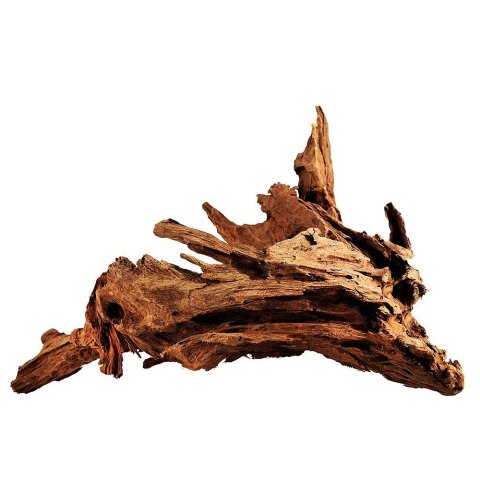 Philippines Classic Driftwood - drzewo mangrowca z wody XL 40cm - 50cm Philippines Classic Driftwood - drzewo mangrowca z wody XL 40cm - 50cm