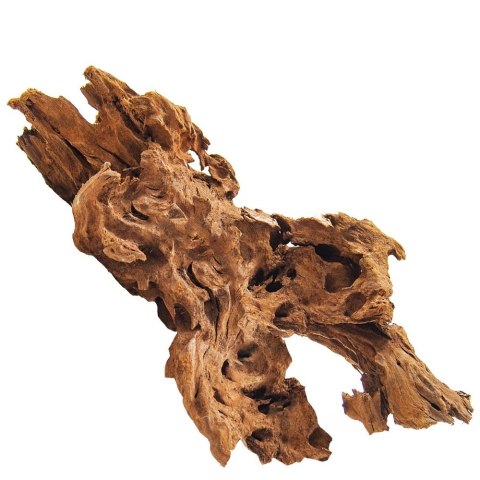 Philippines Classic Driftwood - drzewo mangrowca z wody XL 40cm - 50cm Philippines Classic Driftwood - drzewo mangrowca z wody XL 40cm - 50cm