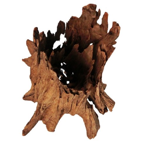 Philippines Classic Driftwood - drzewo mangrowca z wody XL 40cm - 50cm Philippines Classic Driftwood - drzewo mangrowca z wody XL 40cm - 50cm