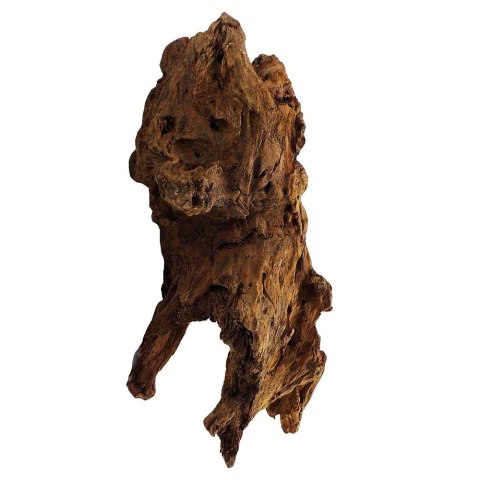 Philippines Classic Driftwood - drzewo mangrowca z wody XL 40cm - 50cm Philippines Classic Driftwood - drzewo mangrowca z wody XL 40cm - 50cm