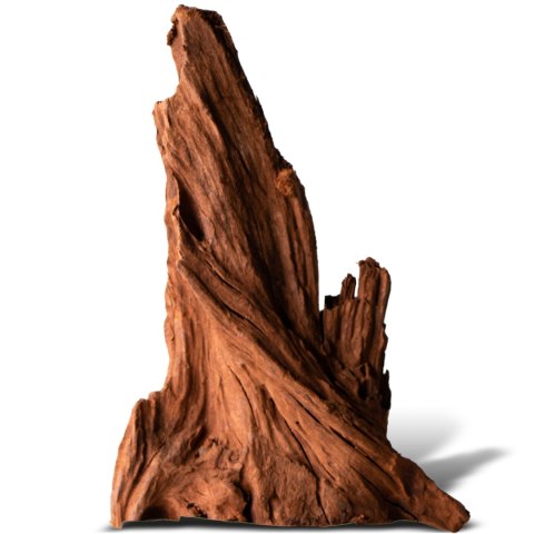 Philippines Classic Driftwood - drzewo mangrowca z wody S ok.20cm Philippines Classic Driftwood - drzewo mangrowca z wody S ok.20cm
