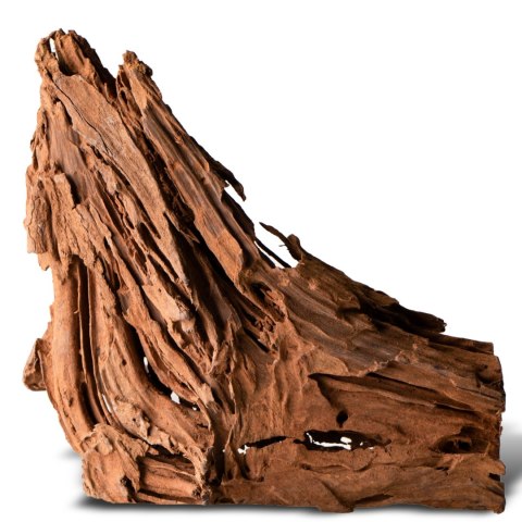 Philippines Classic Driftwood - drzewo mangrowca z wody S ok.20cm Philippines Classic Driftwood - drzewo mangrowca z wody S ok.20cm