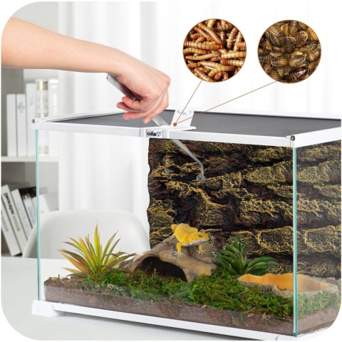 OiiBO Terrarium RAK05W - terrarium 50x30x35cm OiiBO Terrarium RAK05W - terrarium 50x30x35cm