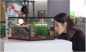 Repti-Zoo Terrarium AK 21x21x30