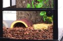 Repti-Zoo Terrarium RK 30x30x45cm