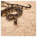 Repti-Zoo Aspen Snake Bedding - podłoże włókna topoli 500 g