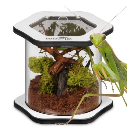 Terrario Spiders Tube Med100 - terrarium akrylowe Terrario Spiders Tube Med100 - terrarium akrylowe