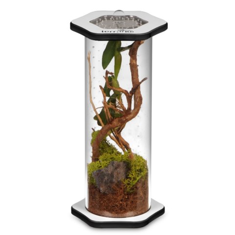 Terrario Spiders Tube Tall200 - terrarium akrylowe Terrario Spiders Tube Tall200 - terrarium akrylowe