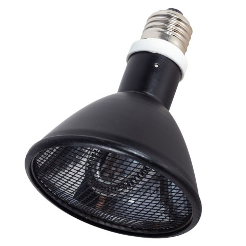 Repti-Zoo Deep Heater 50W - promiennik ciepła Repti-Zoo Deep Heater 50W - promiennik ciepła