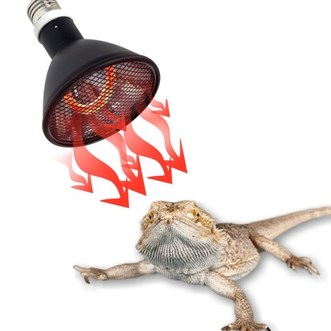 Repti-Zoo Deep Heater 80W - promiennik ciepła Repti-Zoo Deep Heater 80W - promiennik ciepła