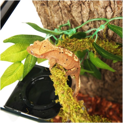 Repti-Zoo Liana z naturalnym mchem 1,5cm x 2m Repti-Zoo Liana z naturalnym mchem 1,5cm x 2m