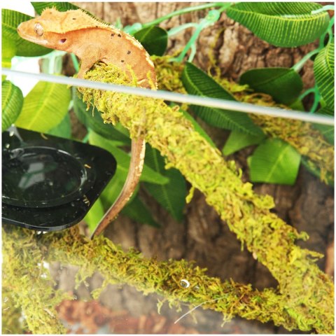 Repti-Zoo Liana z naturalnym mchem 1,5cm x 2m Repti-Zoo Liana z naturalnym mchem 1,5cm x 2m