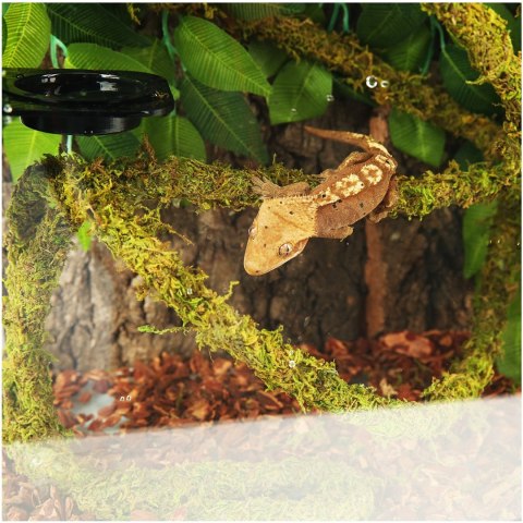 Repti-Zoo Liana z naturalnym mchem 1cm x 2m Repti-Zoo Liana z naturalnym mchem 1cm x 2m