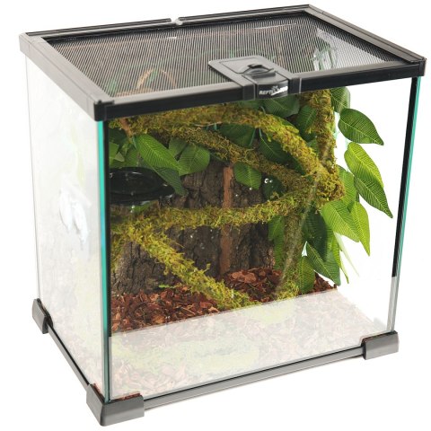 Repti-Zoo Liana z naturalnym mchem 1cm x 2m Repti-Zoo Liana z naturalnym mchem 1cm x 2m