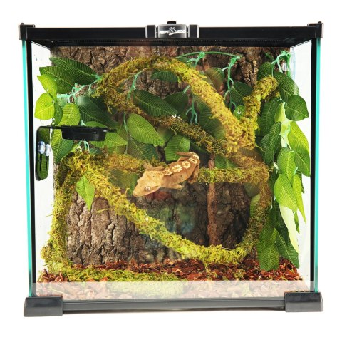 Repti-Zoo Liana z naturalnym mchem 1cm x 2m Repti-Zoo Liana z naturalnym mchem 1cm x 2m
