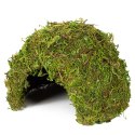 Repti-Zoo Natural Mossy Dome M - kryjówka z mchu