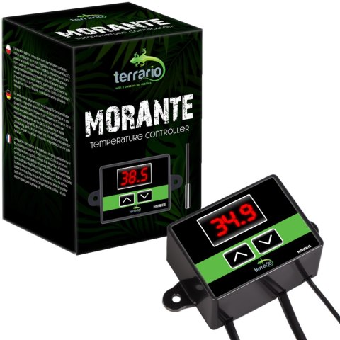 Terrario Morante - termostat terrarystyczny z sondą Terrario Morante - termostat terrarystyczny z sondą
