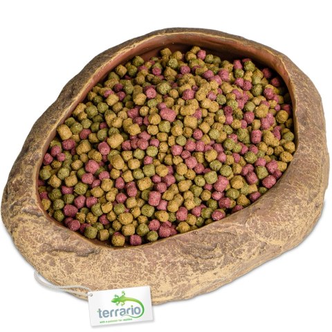 Terrario Rock Oasis L - Miska do Terrarium 17x15x4,5 cm