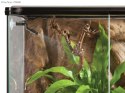 EXO TERRA Monsoon Multi - zraszacz automatyczny 8l