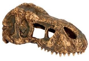 EXO TERRA T-Rex skull (czaszka dinozaura) EXO TERRA T-Rex skull (czaszka dinozaura)