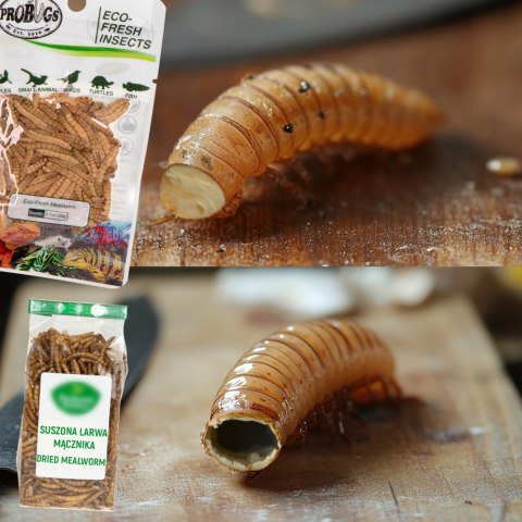 ProBugs Eco-Fresh Riceworm 15 x 15g - świeże larwy muchy 15 szaszetek