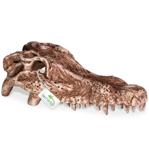 Terrario Crocodile Skull - czaszka krokodyla do terrarium 30x14x9 cm Terrario Crocodile Skull - czaszka krokodyla do terrarium 30x14x9 cm