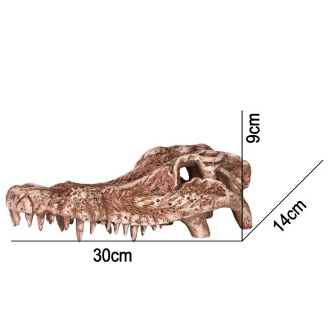Terrario Crocodile Skull - czaszka krokodyla do terrarium 30x14x9 cm Terrario Crocodile Skull - czaszka krokodyla do terrarium 30x14x9 cm