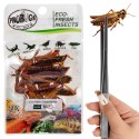 Probugs Reptiles Set - zestaw robaków dla średnich gadów